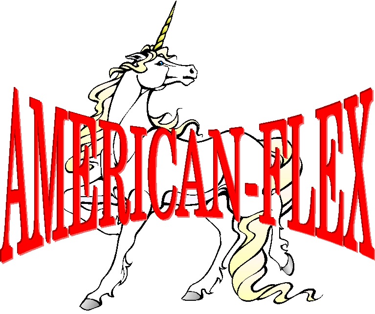 american flex logo