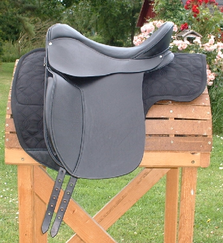 American Flex Dressage