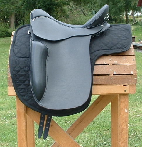 American Flex Dressage