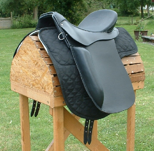 American Flex Dressage